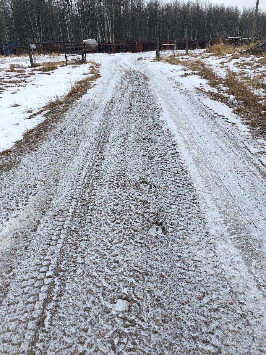 mireille_mageau's tweet image. Tracks in your tracks, and tracks on the driveway 😪 #huntingproblems #hunting #whitetail #deer #elk #alberta