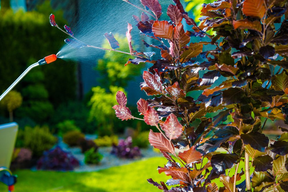 LundTreeService's tweet image. Dave Tree Service provides #TreeSprayingServices in in Richmond Hill, Bradford, Markham, Newmarket and Aurora. Call us at (905) 884-0511.

davelundtreeservice.com/tree-services/…