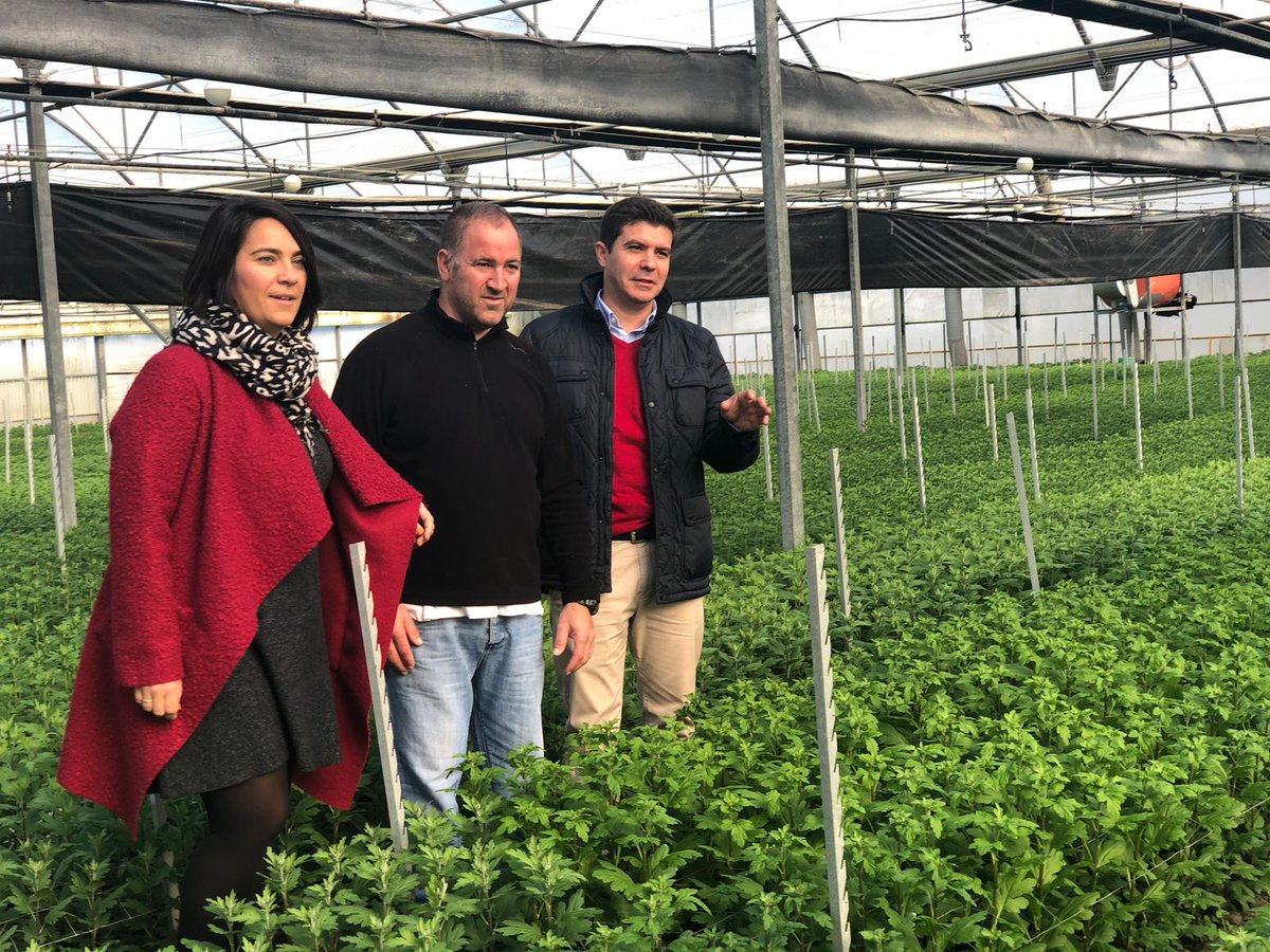 lafm_es's tweet photo. Sergio Romero: “La agricultura es un sector estratégico para el proyecto de Ciudadanos en Andalucía” #2D18 https://t.co/Ql6YxNd8bk https://t.co/NmTboPvzAC