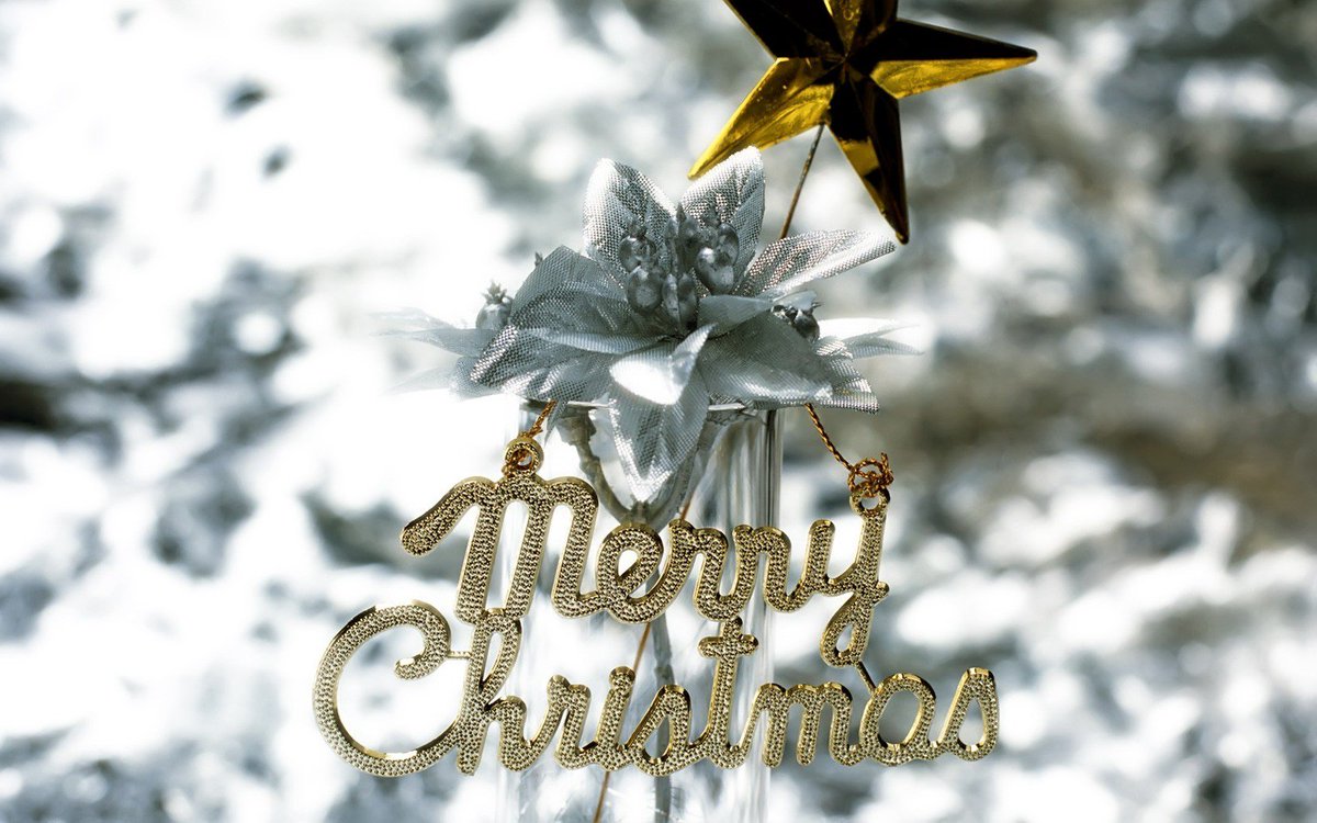 wallpaper_nice's tweet photo. It's the holiday season, & your screen wants to be decorated too! Simply click on a preview image from roundup below to view and download, https://t.co/sfQlMzIYOH
#ChristmasWallpaper #MarryChristms #DesktopWallpaper #MobileWallpaper #3DWallpaper #HdWallpaper #HDNiceWallpaper https://t.co/kkAkkGI7xx