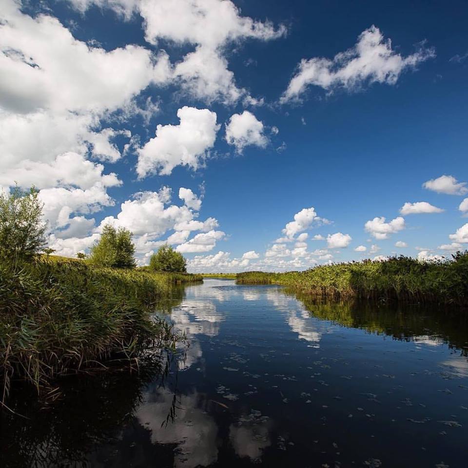 BethFratesMD's tweet photo. Sometimes we just rush around, with a frown,
turning everything upside down.
We don't pause and breathe,
which is how we relieve
the stress and panic
that can build up
in our lives if
we're not
careful.
If we are mindful, we can notice the smallest detail.

Photo @Havenlust 
#tip https://t.co/PNlTbJUrsb