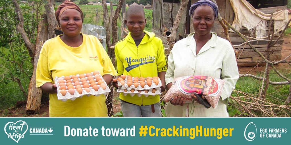 Today is #GivingTuesday and egg farmers and @HeartForAfrica are asking for your help toward #CrackingHunger in eSwatini, Africa. 

Your $25 donation gives a hen. Each hen produces eggs and provides protein that’s essential for human growth and development: heartforafrica.ca/project-canaan…