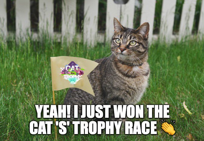Cat_S_trophy's tweet photo. Tiger is so happy this morning! He just won a Cat 'S' Trophy race ๐ We hope everyone has a happy Tuesday too!
#VisibleRealms #Cats #gamedev #indiedev #VRgame #VRgaming #catgame #racing #oculusgo https://t.co/qxnOyAeDX5