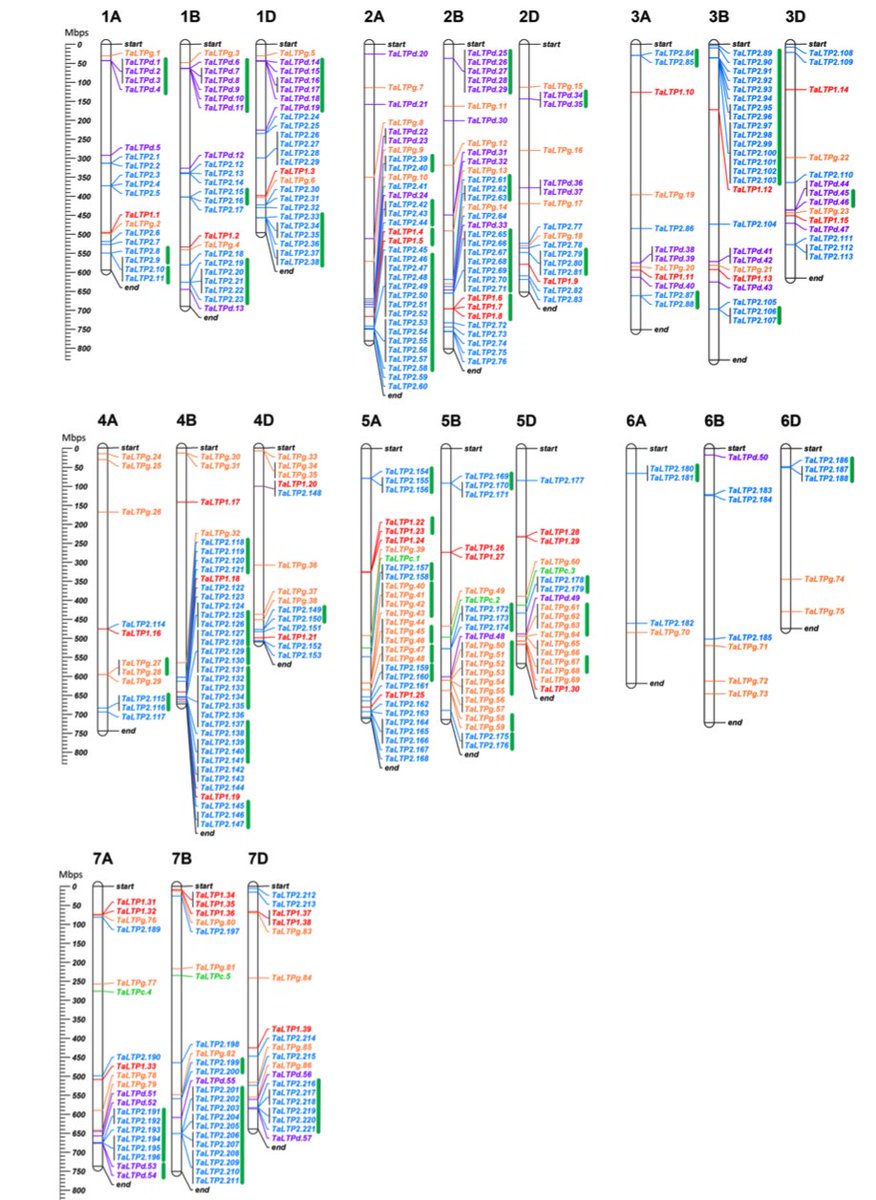 ensemblgenomes's tweet image. Finding non-specific lipid transfer proteins #nsLTPs in #hexaploid #wheat, important for #plant #defence, #seed maturation &amp;amp; #cutin synthesis. Using  the new IWGSC @wheatgenome assembly at plants.ensembl.org. 
#CitedEnsembl @AllanKouidri @SciReports buff.ly/2BwYBuS