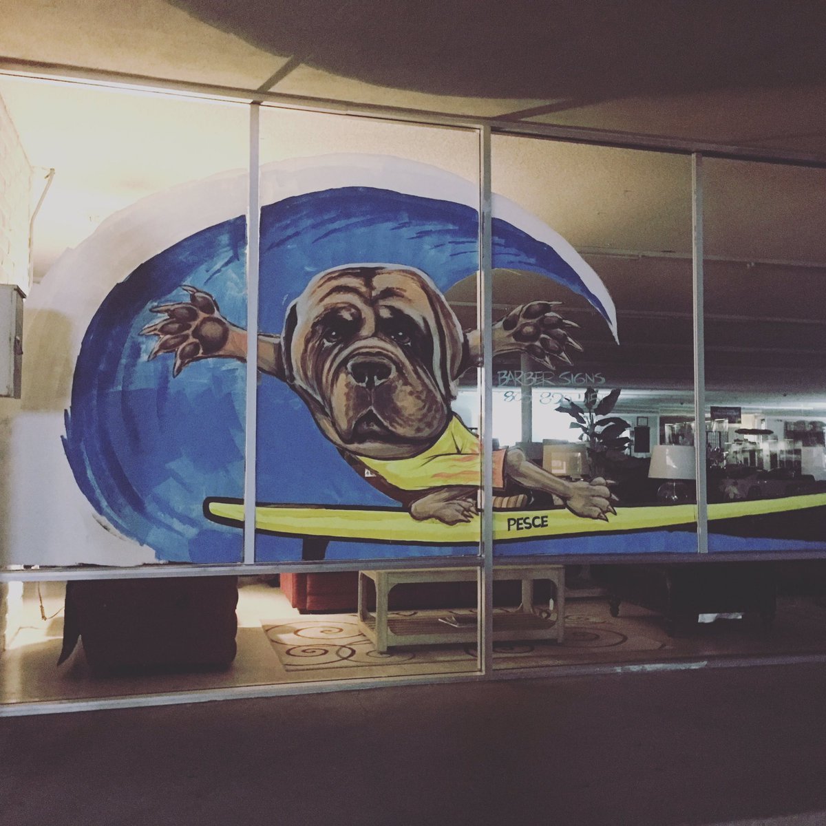 daisyscoldwater's tweet photo. Surf dawg street art ❤️🤙 ...do you like this or love it? Like and comment below to let us know 🙏 #surfdawg #streetart #graffitiart #supportyourlocalsurfshop #streetstyle #indatube #surfdog #grateful #thankful #surfingdogs #sugoi #protectyourskin #daisyscoldwatersurfcream https://t.co/bUOaWD0CbQ
