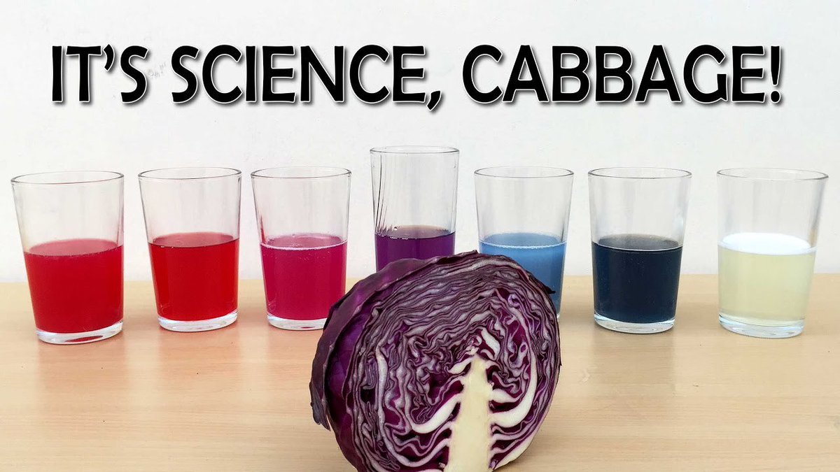 stem_ohio's tweet photo. @NobleAcademyCo students made a pH indicator from cabbage and then tested several household items. https://t.co/49lwXajFa9
