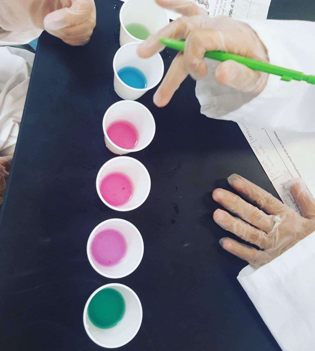 stem_ohio's tweet photo. @NobleAcademyCo students made a pH indicator from cabbage and then tested several household items. https://t.co/49lwXajFa9