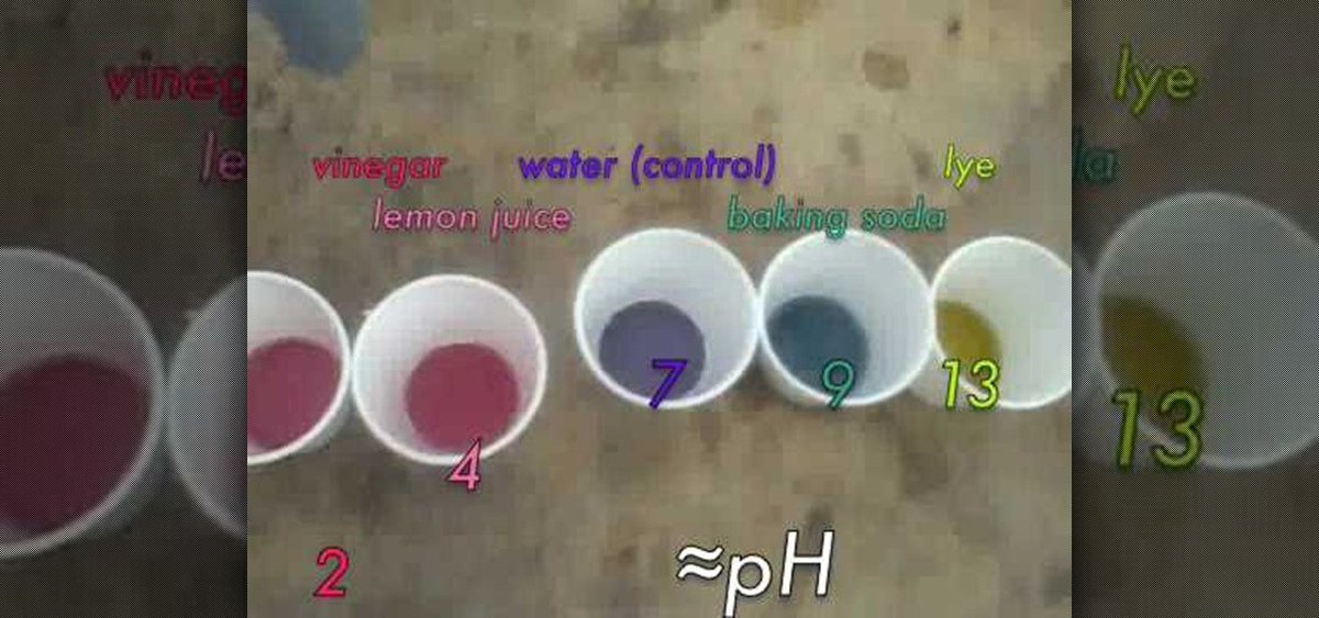 stem_ohio's tweet photo. @NobleAcademyCo students made a pH indicator from cabbage and then tested several household items. https://t.co/49lwXajFa9