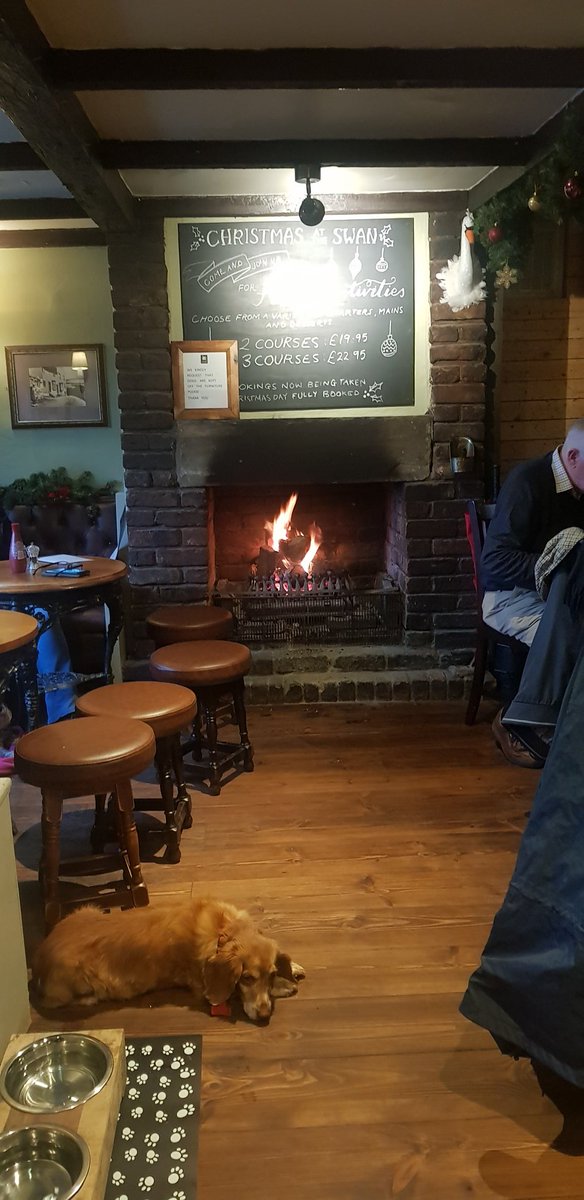 Warm and cosy on this cold day