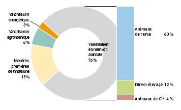 12 millions de tonnes de MS de #coproduits en 2017 en 🇫🇷 dont 76% sont valorisés par les animaux d'élevage 🐓🦃🐏🐖🐐🐄🐂 : l'#élevage au cœur de l'#EconomieCirculaire !!!
Les résultats complets de l'enquête RESEDA ▶️ bit.ly/2DX9JDT
<a href="/InstitutElevage/">Institut de l'élevage - Idele</a>