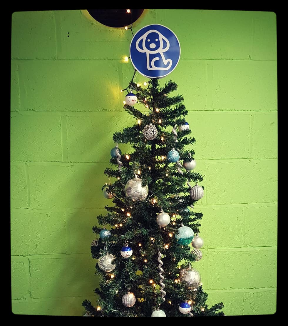 Themutneysdog's tweet photo. Sorry, we have given in and put up our #office #ChristmasTree ๐๐ We also realised we didn't have anything to put on top, so it seemed fitting to use the #Mutneys logo up there haha. #tistheseason #feelingfestive #itsbeginningtolookalotlikechristmas https://t.co/f7uEhi4SZD