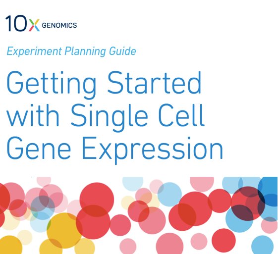 10xGenomics's tweet photo. Learn about the 4 steps needed get started with single cell gene expression analysis in our Getting Started Guide https://t.co/o09B4LgrBY
#singlecell #RNAseq #cellyes https://t.co/VDUtZ1YINP