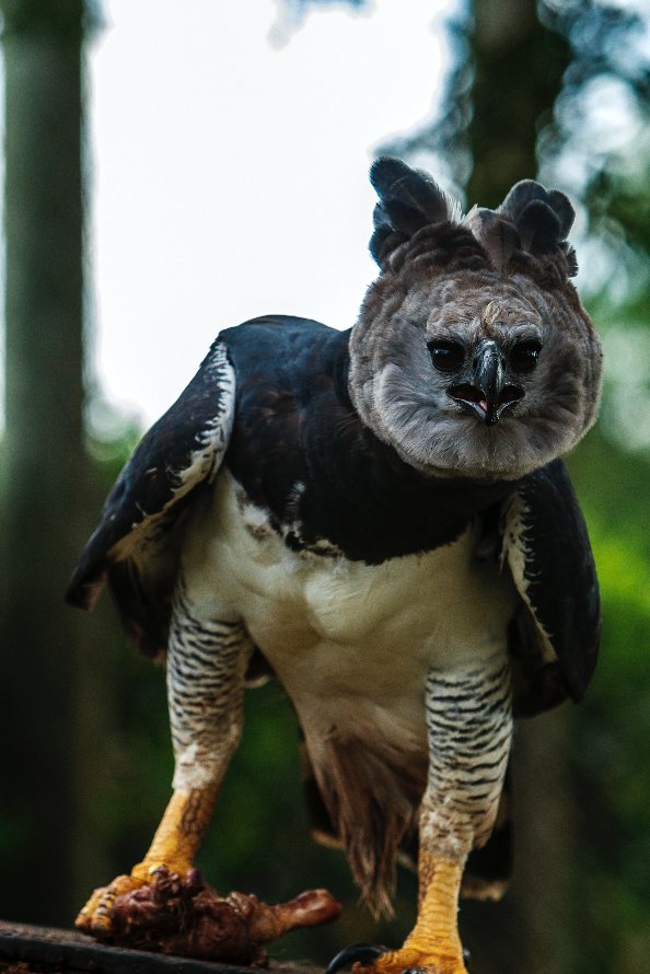 Quite Interesting tweet media