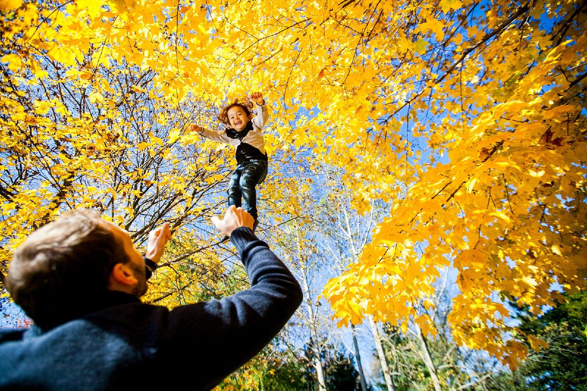GaryReggish's tweet photo. Michigan is, once again, the best place for fall photography. https://t.co/Q0rTBIJfdn https://t.co/GSOkrX4mue