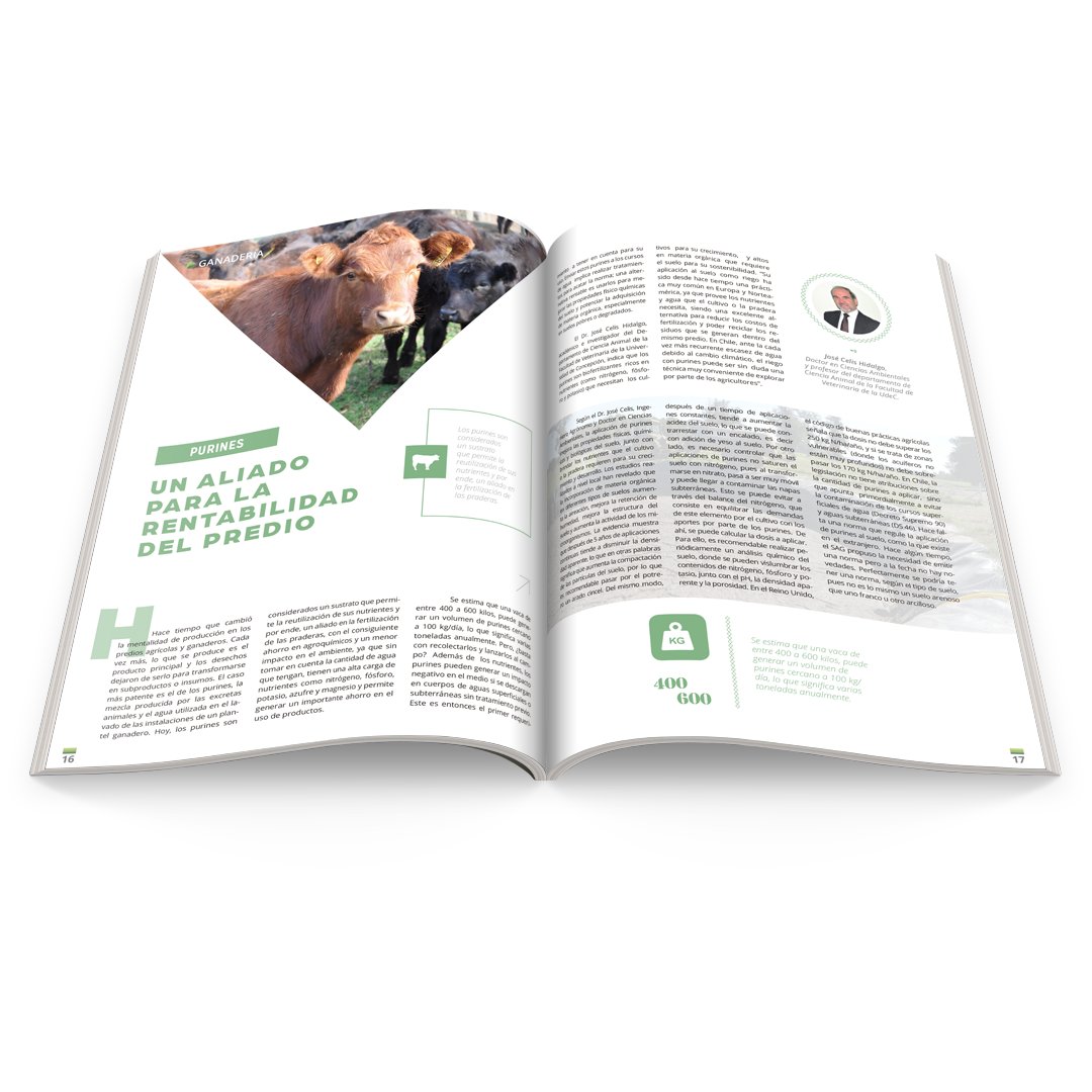 codigoc1's tweet image. PURINES: UN ALIADO PARA LA RENTABILIDAD DEL PREDIO

Revisa el reportaje completo en el siguiente link:
revistagrupoagro.cl/purines-un-ali…

#RevistaGrupoAgro #Purines