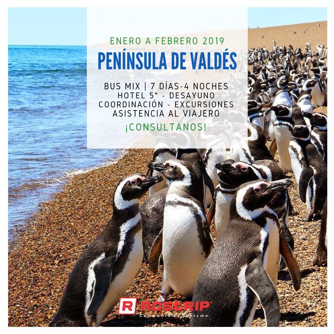 rostrip's tweet photo. ✨🐧 ¡PUERTO MADRYN 🐧✨ 
👉 Una experiencia única e inolvidable con la naturaleza. .¡NO TE QUEDES CON LAS GANAS! 👇
💳 VIAJÁ HASTA 12 CUOTAS FIJAS* con .MERCADO PAGO o TODOPAGO. 💳
ENTRÁ Y OBTENÉ +INFO ▶️ https://t.co/YLWfJ9btMN
#rostrip #mejormevoydeviaje #amoviajar https://t.co/CY1oCfidRr