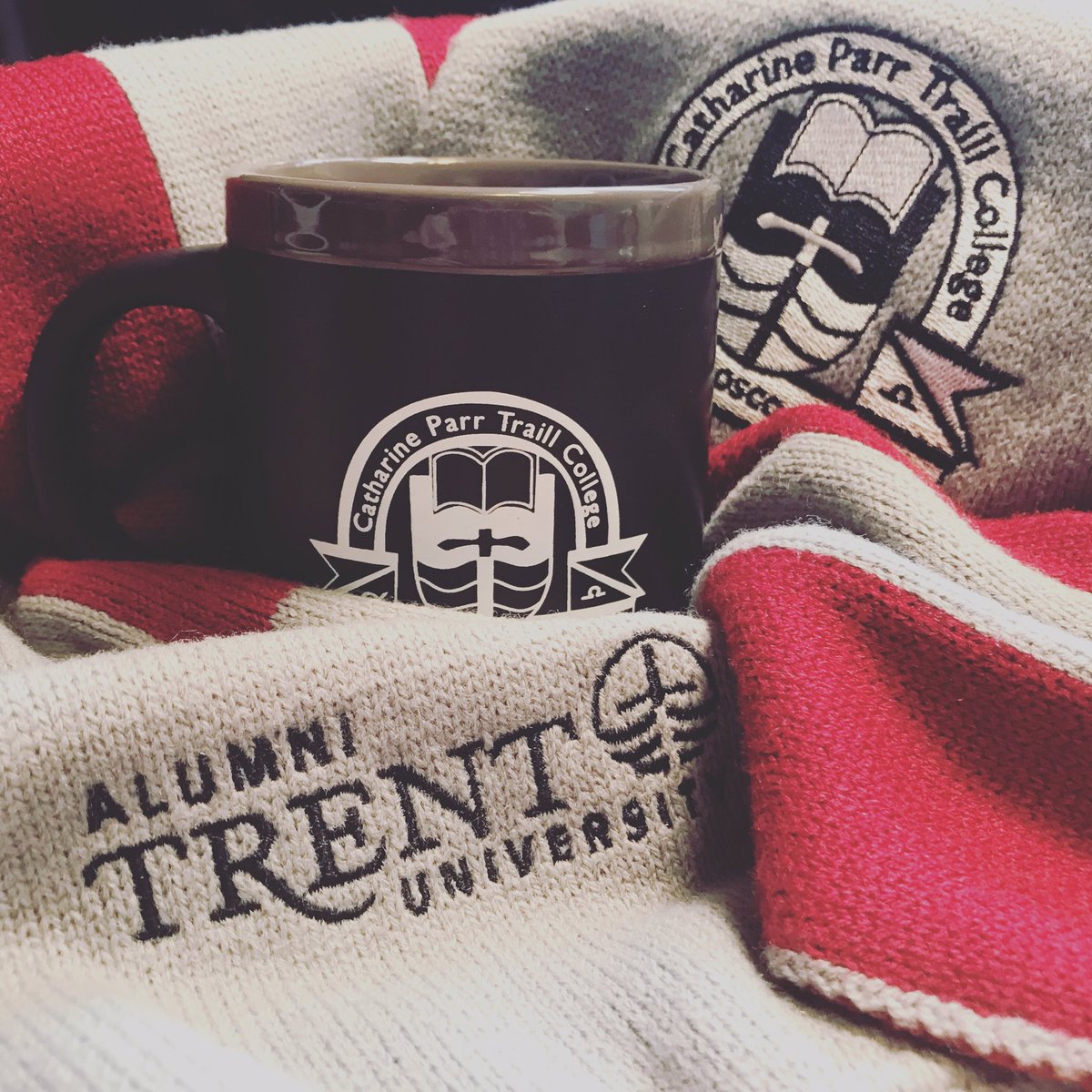 jessa_gee's tweet photo. Today I supported all 5 of Trent’s current colleges as well as Peter Robinson’s bursary, but I gave a bit extra to that College on the Hill. @Traill_College @ChamplainTrentU @LadyEatonTrentU @OtonabeeCollege @GzowskiCollege @TrentAlumni @TrentFund #ContinueTheCollegeChallenge https://t.co/SxlM4Da8yI