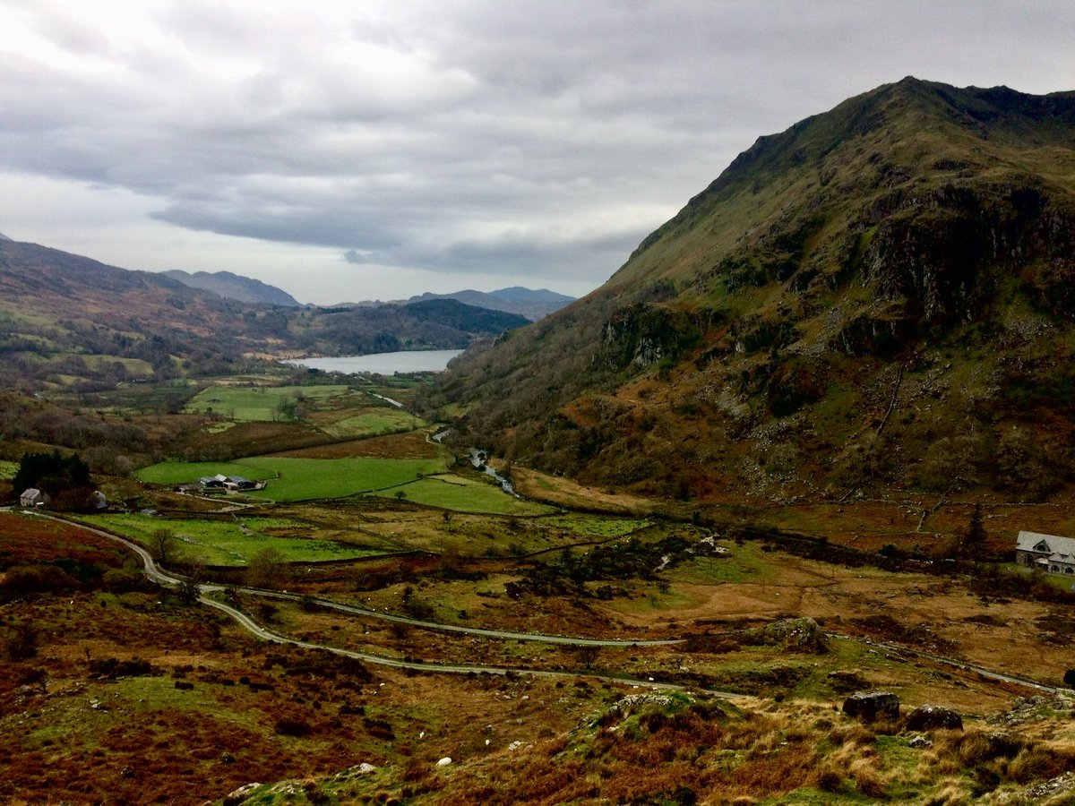 Andrew Hynes tweet media