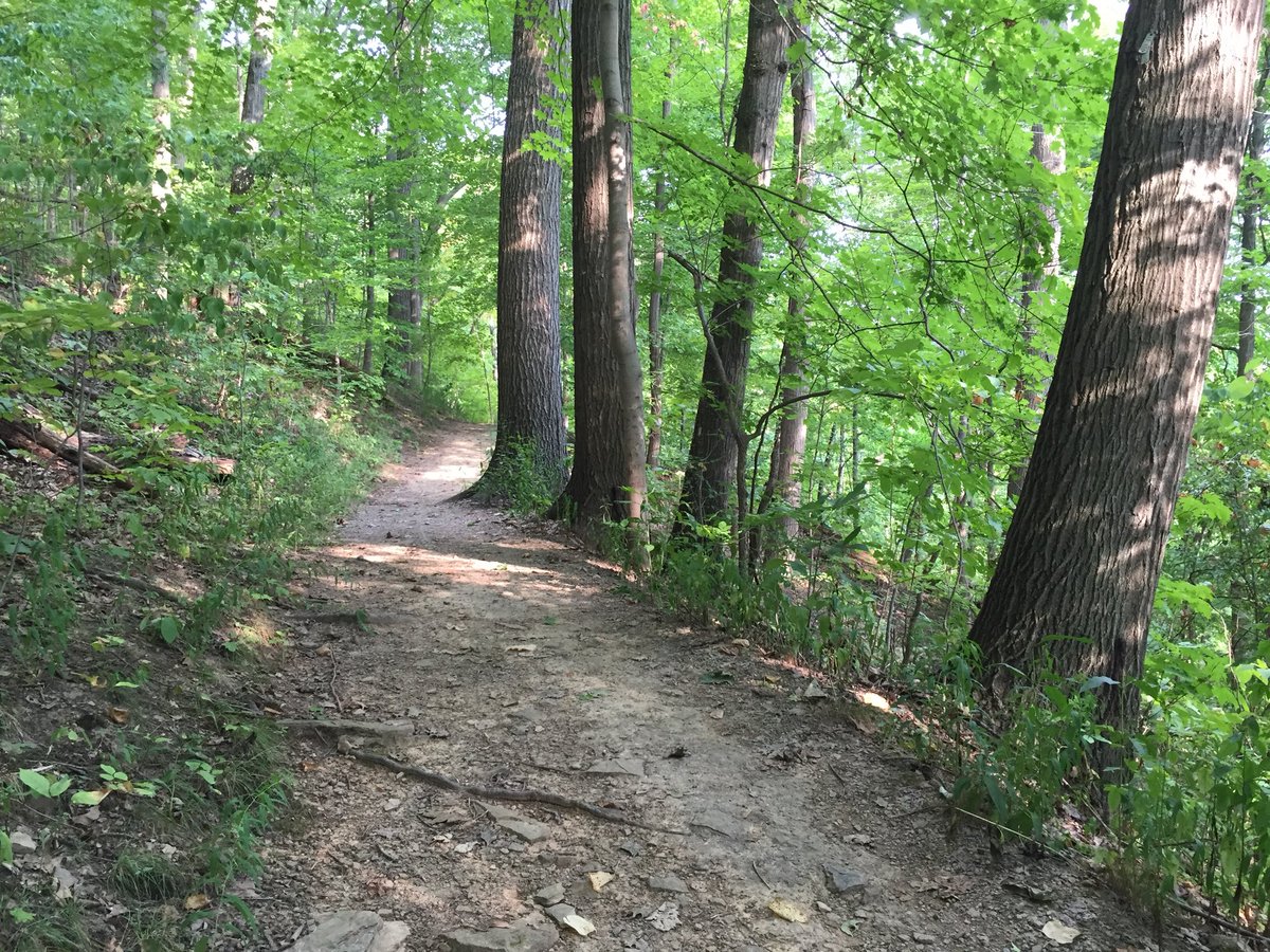 WVU Core Arboretum tweet media