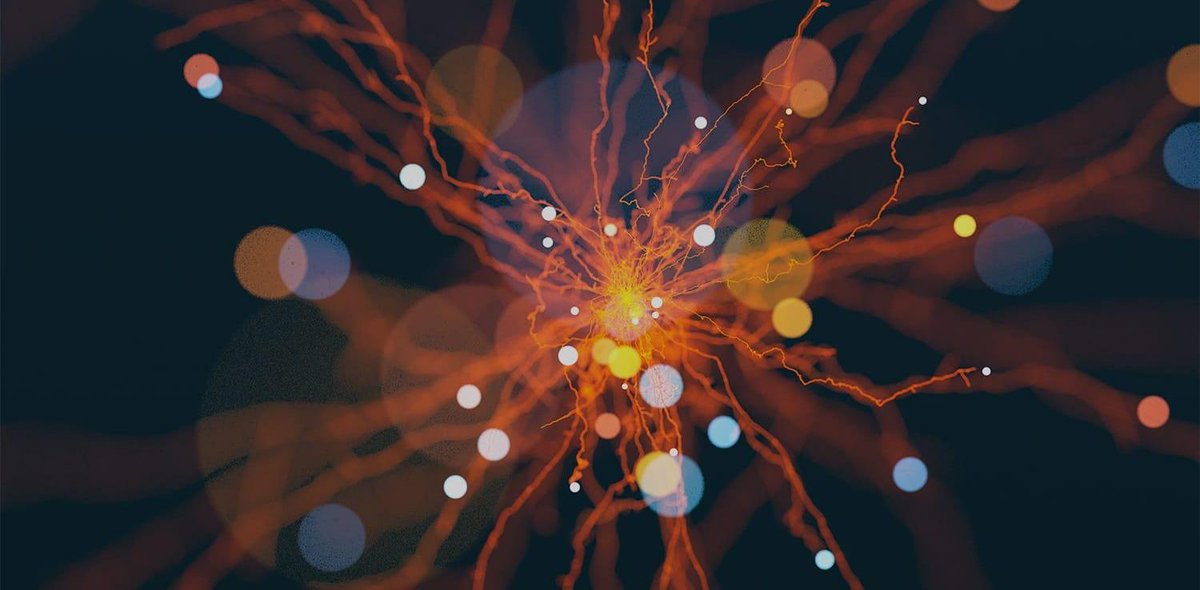 provisionlab's tweet photo. How to increase e-commerce revenue with Сomputer Vision.
https://t.co/KRFmcAoNQM #ComputerVision #MachineLearning
#DeepLearning #OpenCV #AI #ArtificialIntelligence #technologynews #ecommerce https://t.co/rgNvQZ284E