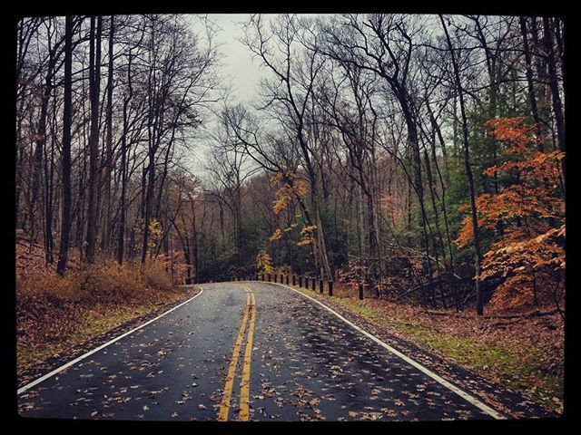 Everarborco's tweet photo. Farewell fall.
.
.
#everarbor #stepoutside #fall #autumn #farewell #goodbye #closing #end #endoffall #calmbeforethestorm #beforethesnow #snowiscoming #winteriscoming #fallfoilage #wintersnow #brecksville #hike
#outdoorlifestyle #fallhike #november #ohio… https://t.co/1FTzTS4UcD https://t.co/5gYEL5scrm
