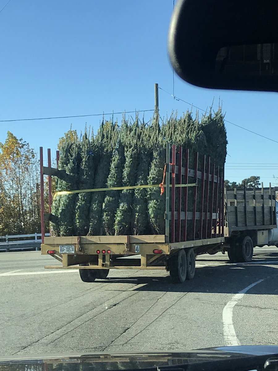 AshleyStremme's tweet photo. Hey @DavidStremme followed this guy this morning (while being your parts chick) and I’m pretttyyyyy sure he doesn’t have our tree. #stillwaiting #toshort https://t.co/zySQpAUahg