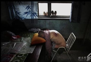 View image on Twitter