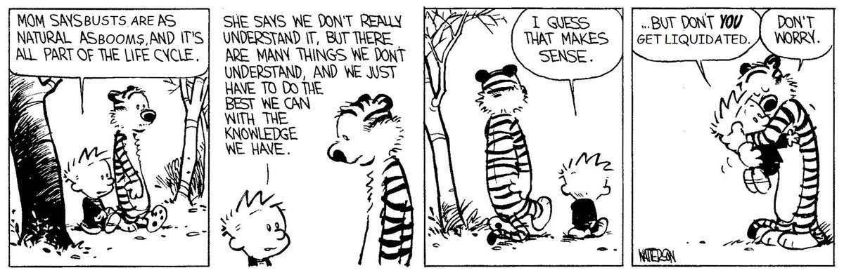 Calvin and Hobbes with Crypto Punchlines (@cryptocalvinist) / Twitter