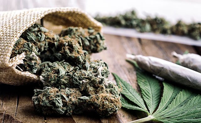 RiverMend Health Scientific Advisory Board Chairman, Dr. Mark. S. Gold, Discusses How #THC Injures The Brain. bit.ly/2TPWEk7 #cannabis #marijuana