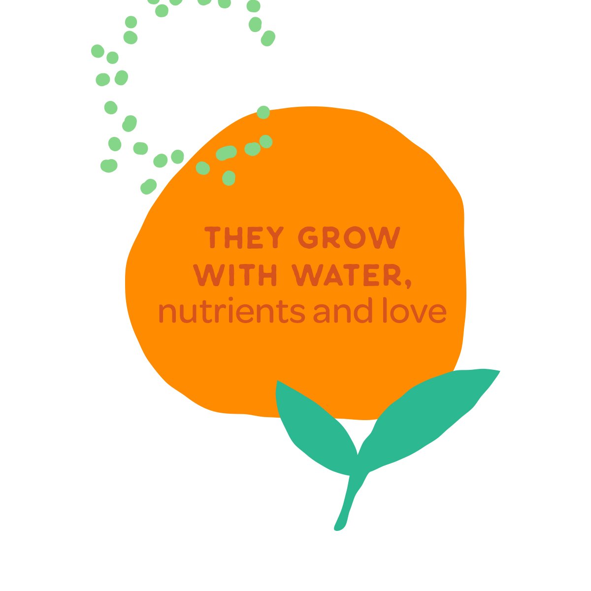 FlowersofCol's tweet photo. We give each flower a healthy dose of water and nutrients, a perfect diet to grow bright and strong, to someday reach you looking ‘as fresh as a chrysanthemum. 🌼 #DiversityThatInspires https://t.co/bpDQDMR32M