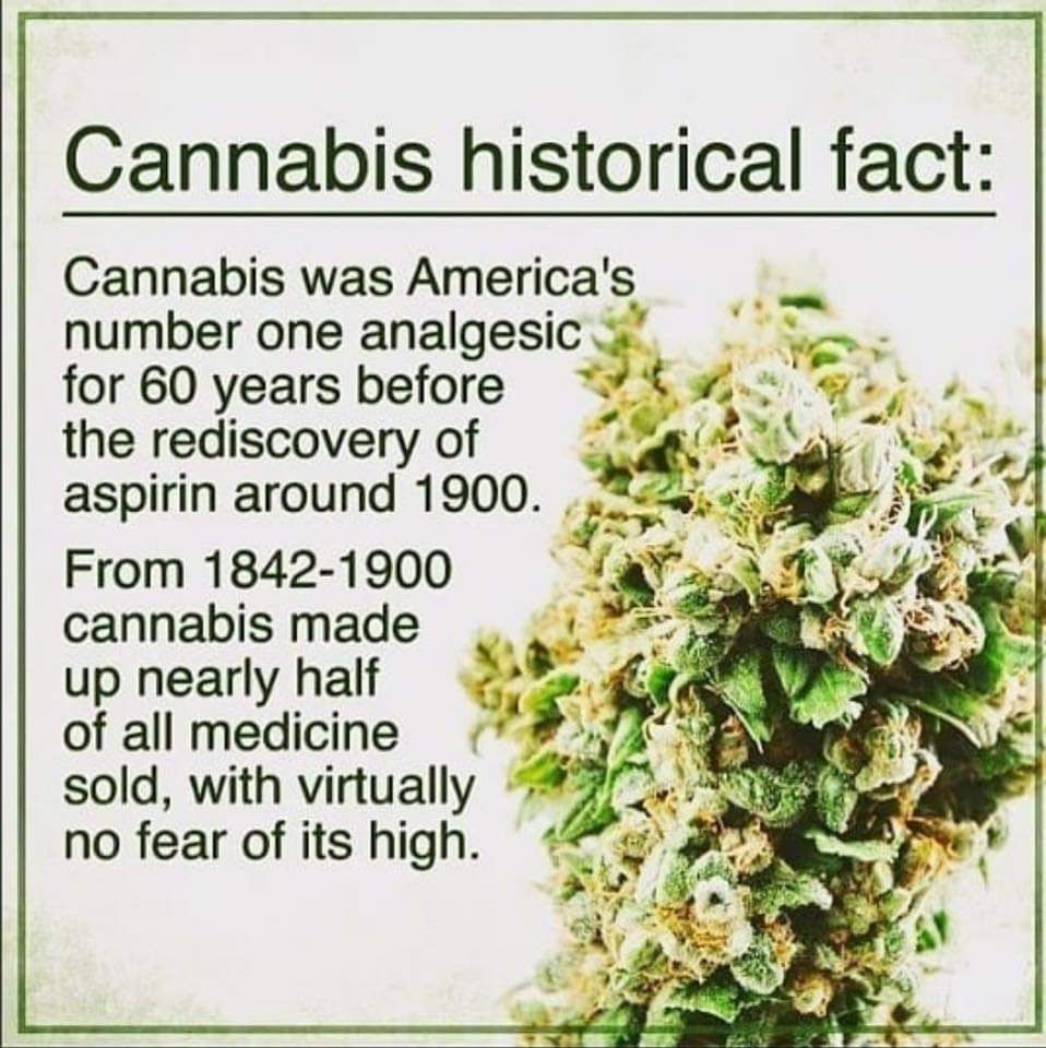 David Tank tweet media