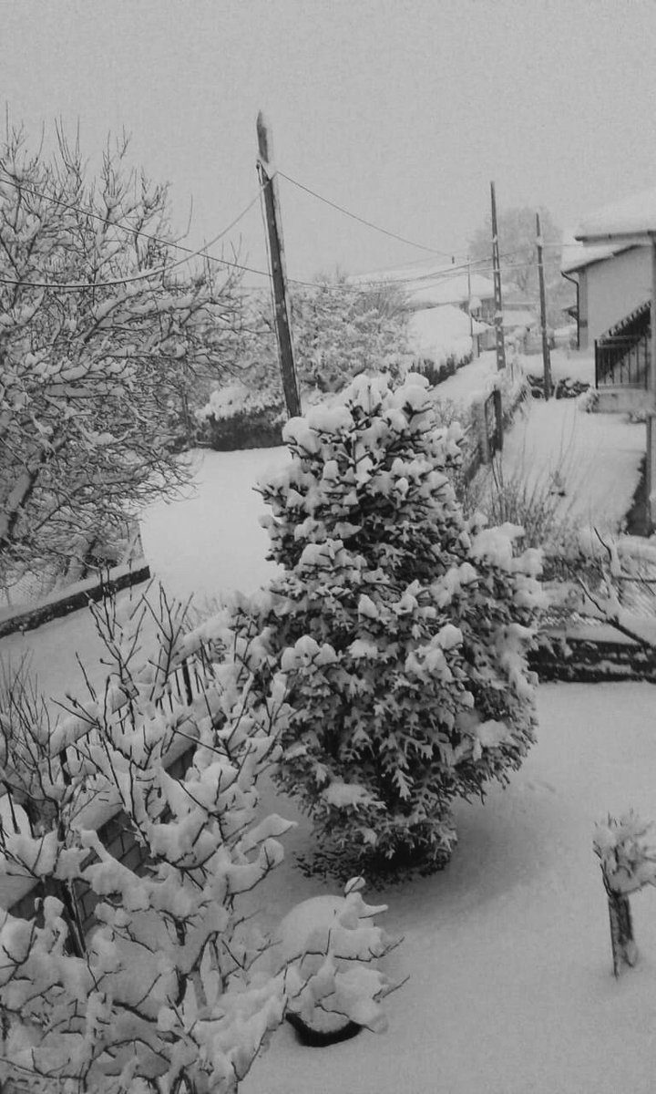 GamezBravo's tweet photo. Day 6/7 of the
#SevenDaysBW 
#sevendayssevenpictures 
#blackandwhitechallenge 
#sevendayssevenpictures 
#7days7pictures 
Nominated by
@CorinneTell 
No People
No Text https://t.co/vgdY38NXT3