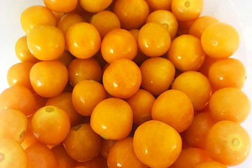 UN_DIPAL's tweet photo. #NotaUN Pasteurización permitirá exportar jugo de #uchuva: El hallazgo permitirá comercializar esta fruta en otras presentaciones, no solo en fresco como se vende hoy.
➡️ Lea la nota completa en: https://t.co/2jmazk7FUr
#InvestigaciónUN #CienciaUN #InnovaciónUN #UNPalmira https://t.co/5aQBhdzooH