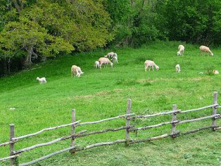 AFOCASTELLON's tweet photo. Què és una #cleda?  És un "clos fet amb estaques, canyes o barres, per a tancar el bestiar o  l'aviram" a banda d'una "barrera o tanca mòbil de llistons o  bastons  per a tancar el portal d'un corral o d'un tancat" segons la @AVLoficial https://t.co/zdUTa7UTea https://t.co/QG6fRO09ns
