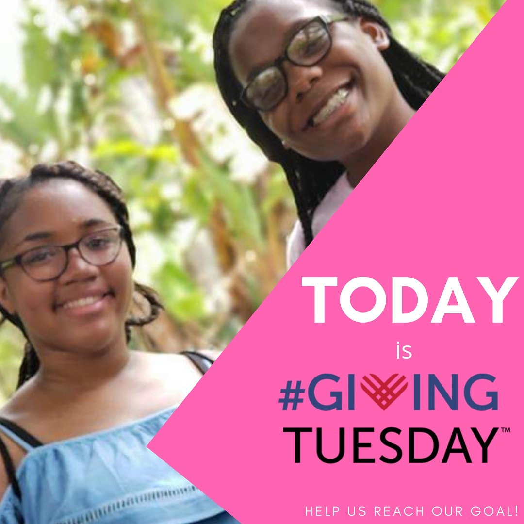 SDIncNJ's tweet photo. Today is the day! It's @givingtuesday ! Help us reach our goal by not only giving but liking and reposting our posts today! 
#givingtuesday #riteaid #kidcentsthanksforgiving #mentor #mentee #girls #volunteer #nonprofit #jamaica #stem #stemgirls #education #financialfreedom https://t.co/hls1oRTg5x