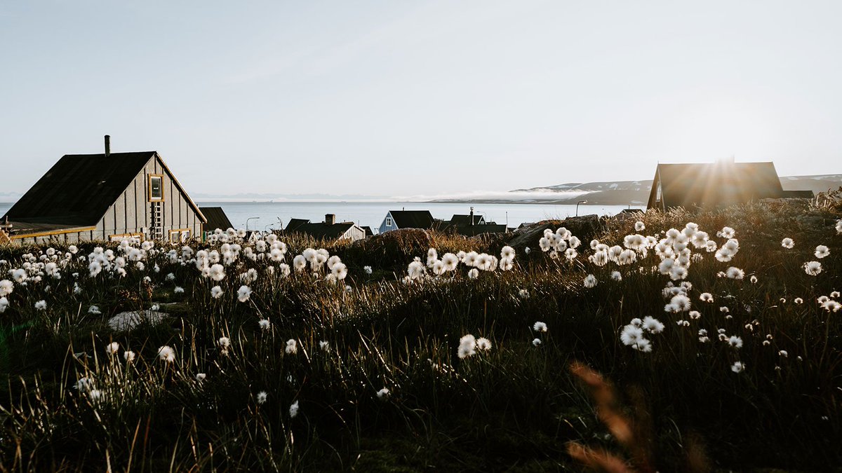 novonordiskfond's tweet photo. The Government of Greenland and the Novo Nordisk Foundation have approved a vision statement aiming to strengthen initiatives related to diabetes and lifestyle in Greenland. The key element of the project is establishing Steno Diabetes Center Greenland. https://t.co/OVNZebgg4c https://t.co/gqjmb1QAGx