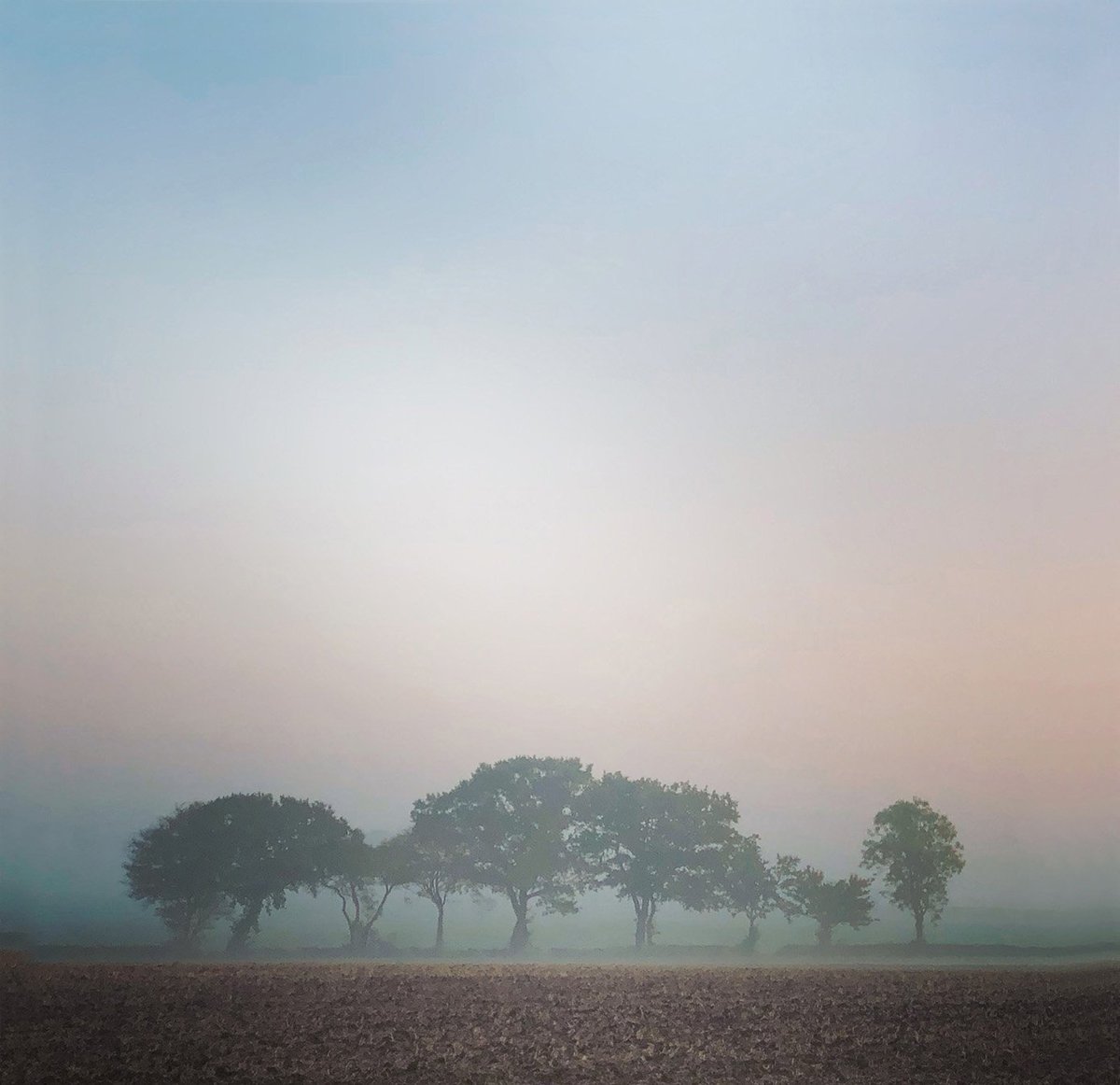 Crown and Castle (@crownandcorford) on Twitter photo It might be autumn, going on winter, but it's still beautiful in Suffolk @visitsuffolk <a href="/thesuffolkcoast/">The Suffolk Coast</a> and a #CrownandCastleDelight It might be autumn, going on winter, but it's still beautiful in Suffolk @visitsuffolk <a href="/thesuffolkcoast/">The Suffolk Coast</a> and a #CrownandCastleDelight