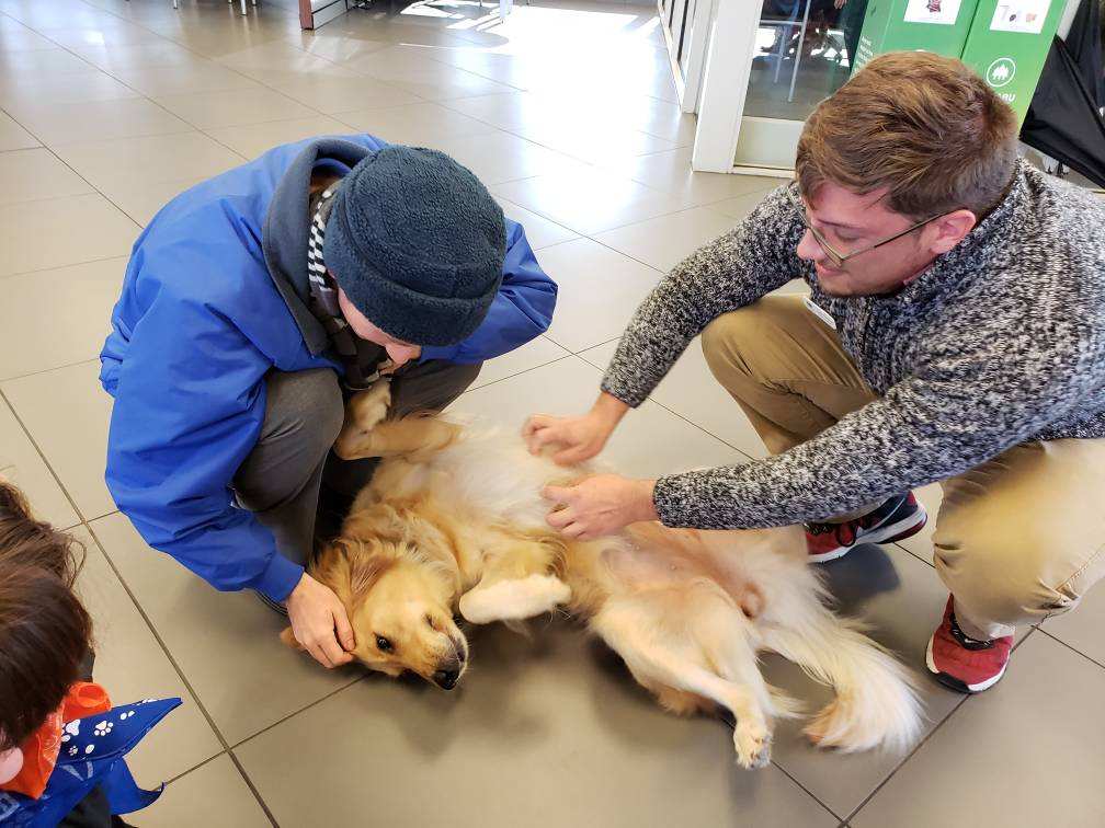 SubaruMemphisCP's tweet photo. We had some cute and friendly visitors that stopped by and brightened our day yesterday! #JimKerasSubaru #TeamJimKeras #subaru #subarulovespets #dogtesteddogapproved #midsouth #memphis #Tennessee https://t.co/OXCM2RDlF4