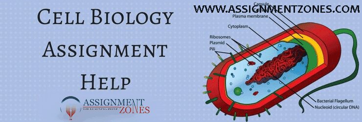 AssignmentZones's tweet image. Cell Biology is one of the divisions of Biology which specials with those actions connected with Cell formation, structure, components as well as their features. assignmentzones.com/cell-biology-h…
#CellBiologyAssignmentHelp
#Assignmentzones
#CellBiologyHomeworkHelp