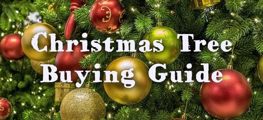 Fantastic's tweet photo. #ChristmasTree Buying Guide 👇 ... because you deserve a perfect Christmas Tree that would make your winter holidays even more special!
https://t.co/nqYIre3Eav https://t.co/sFJ37rpb23