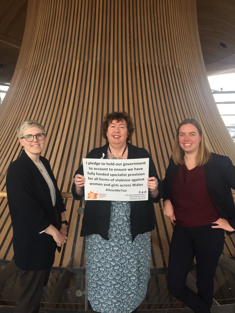 “I pledge to hold out government to account to ensure we have fully funded specialist provision for all forms of violence against women and girls across Wales” Thank you ⁦@HelenMaryCymru⁩ supporting our #16DaysOfActivism call for action to #EndVAWG #HearMeToo