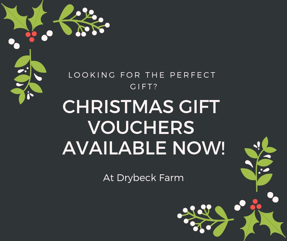 drybeckfarm's tweet photo. Christmas vouchers available from £79 for a 2 night stay. Email at enquiries@drybeckfarm.co.uk https://t.co/uH49Svw8it