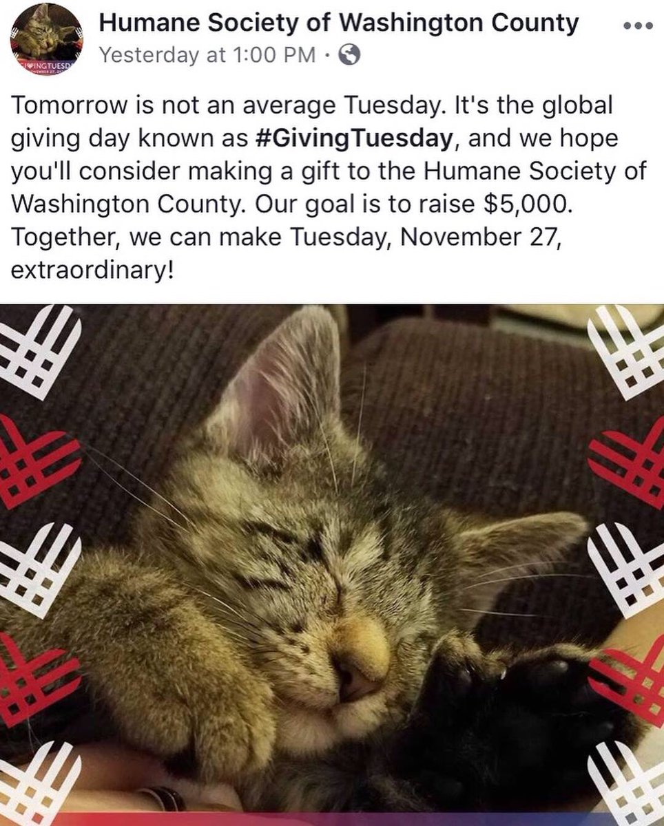 todays975's tweet image. It’s #GivingTuesday! 🎄✨

Today we celebrate generosity by giving back our time or money to others. Here are some organizations we love to support:

@HSWCMD @UnitedWay #BCBP