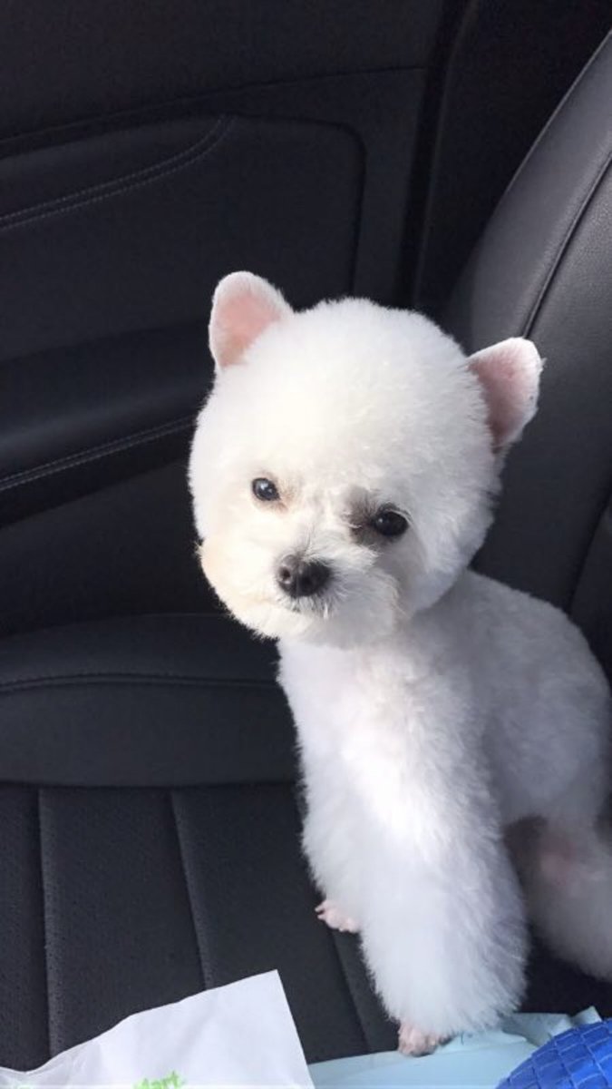 pinkandwhite's tweet photo. Time to go to work #morning #traffic https://t.co/1jKVoBgHht