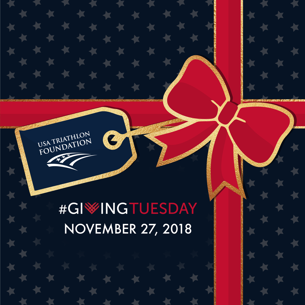 usatriathlon's tweet photo. Join the movement of #GivingTuesday and give to our @USATFoundation. Your gift will open pathways to triathlon for all by encouraging youth participation, inspiring paratriathletes and igniting Olympic dreams. 🙌🇺🇸 To make a donation, click here: https://t.co/QQee800vo1 https://t.co/eWHhHMJWCP