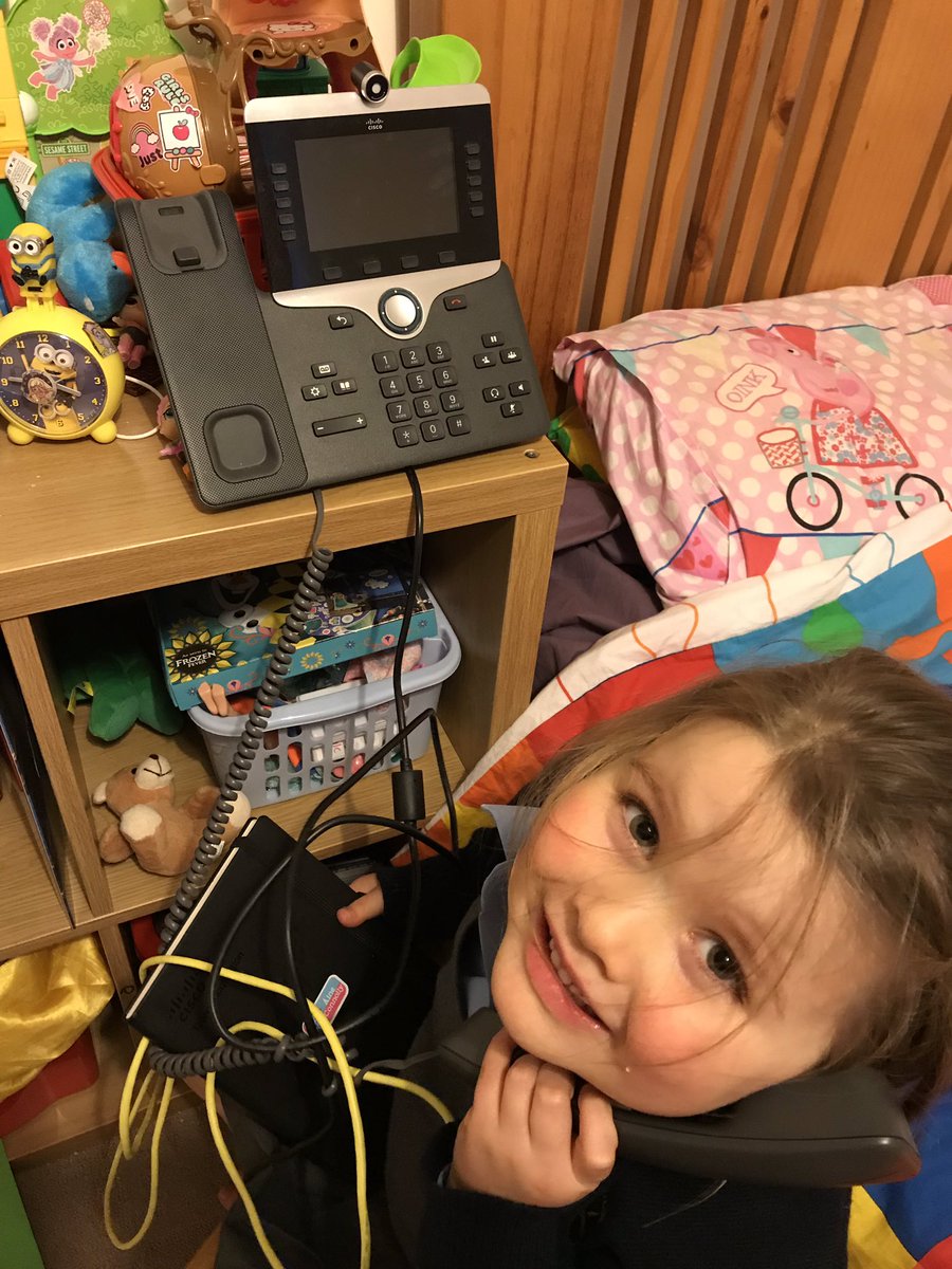 elmccart's tweet image. She loves playing with my work equipment and also loves stealing my #Cisco swag! #Cisconian #intraining #WeAreCisco