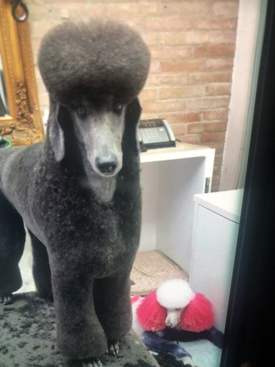 Morton Klein (MortonAKlein7) Twitter