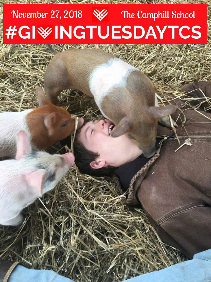 igivetcs's tweet photo. We're 40% to goal. Is your contribution in there yet?#GivingTuesday #TheCamphillSchool #welovepigstoo #oinkoink https://t.co/h8PfM88Yoz