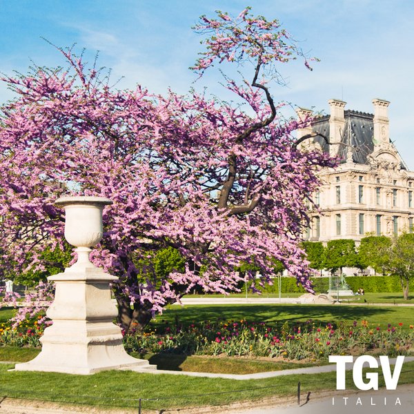 Natale con i tuoi, Pasqua con chi vuoi... a Parigi! Da oggi sul nostro sito sono aperte le vendite dei biglietti per partire in primavera. #TGVTVB #paris #travel #easter #spring