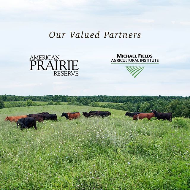 This #GivingTuesday, we encourage you to give to @michael_fields_ag, <a href="/americanprairie/">.</a>, or both! These non-profit organizations are working to preserve two of our planet's most vital resources: water &amp; land. ift.tt/2QjWrai